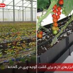 ملزومات و ابزارهای لازم برای کشت گوجه چری در گلخانه - هیتر اسکندری